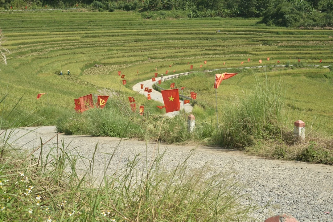 Các quy tắc chơi bóng đá tay vịn trong một cuộc thi không chính thức.