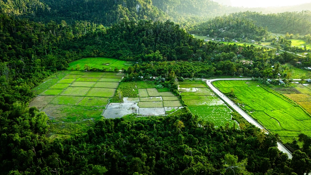 kham-pha-bong-da-lu-608-duoi-goc-nhin-nha-bao-the-thao-8-nam