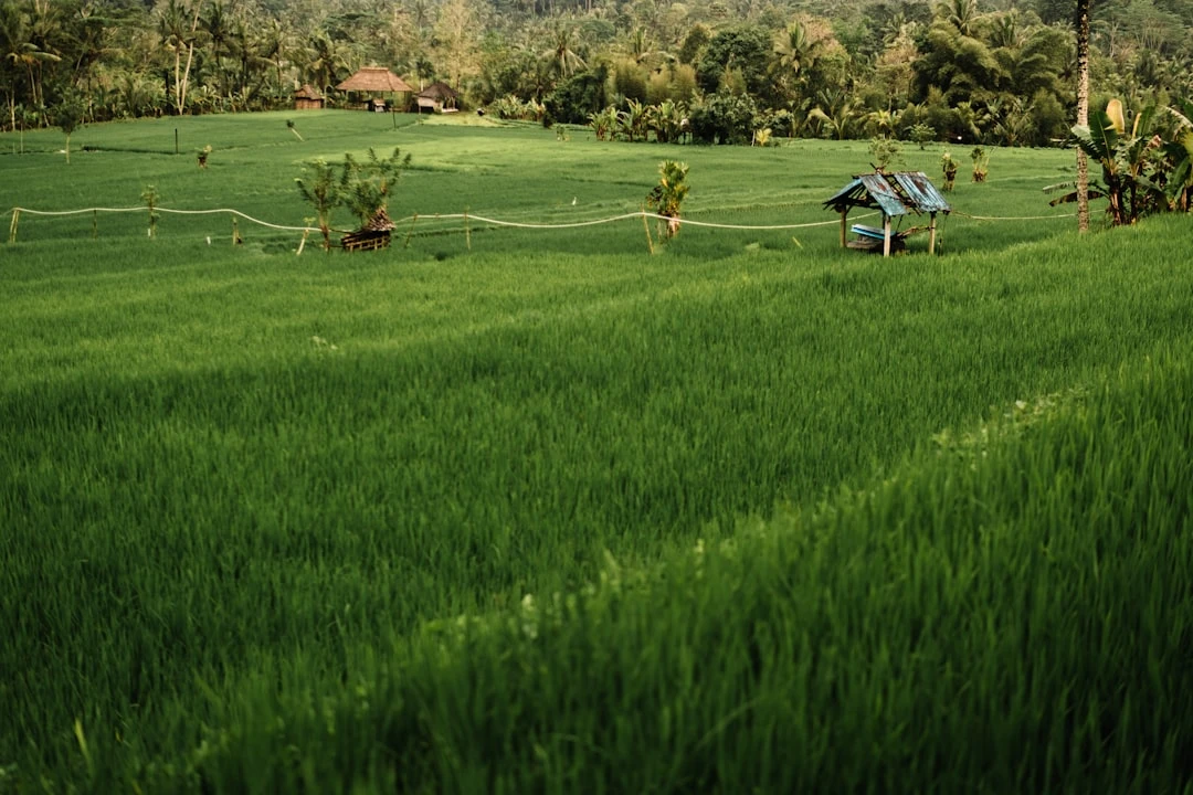 Giải đấu bóng đá U21 nội địa