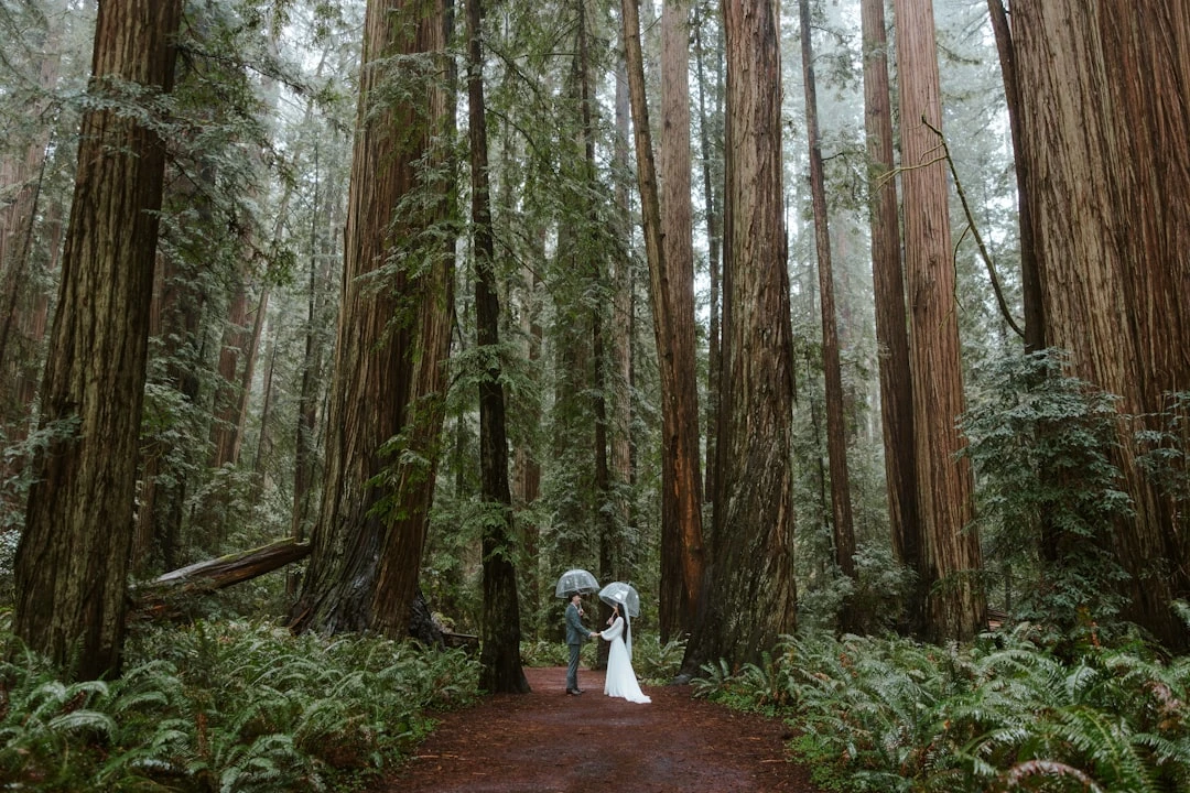 to-chuc-giai-bong-chuyen-gom-9-doi-duoi-goc-nhin-quang-huy