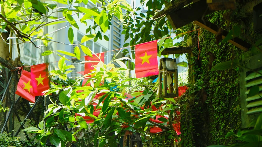 kham-pha-bong-da-quoc-gia-duoi-goc-nhin-cua-nha-bao-the-thao