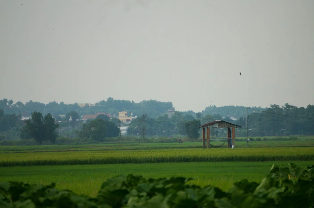 du-doan-tran-dau-brazil-goc-nhin-cua-nha-bao-the-thao-ky-cuu