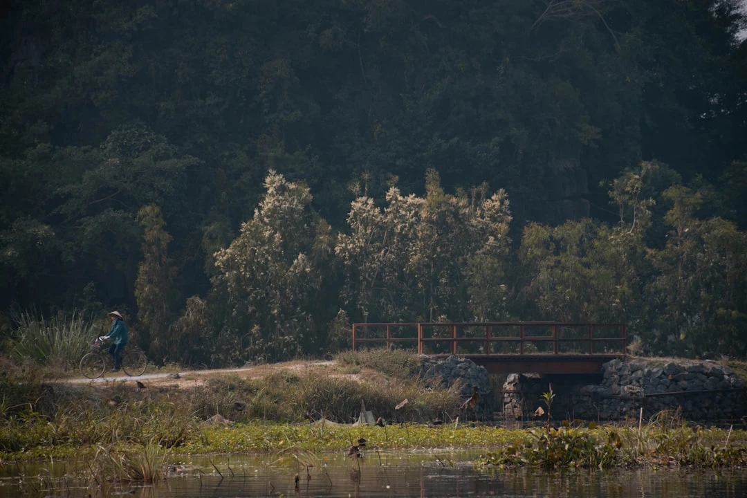 Phong cách chơi bóng rổ hustle