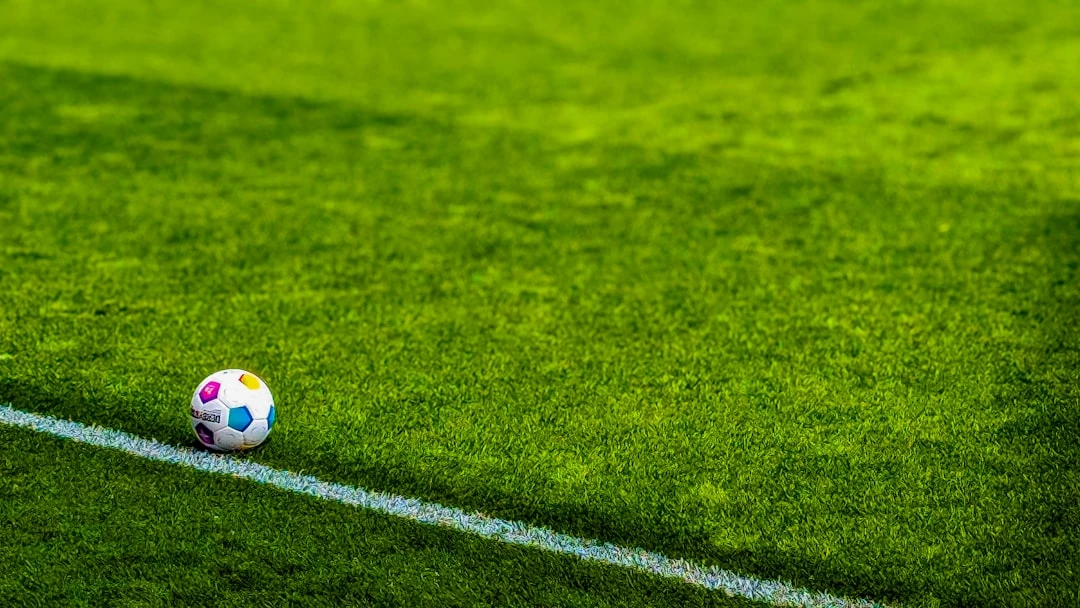 Yếu tố ảnh hưởng đến dự đoán Euro